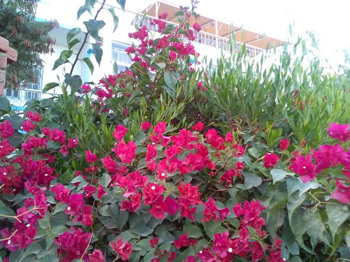 Luxor Guest House ภายนอก รูปภาพ